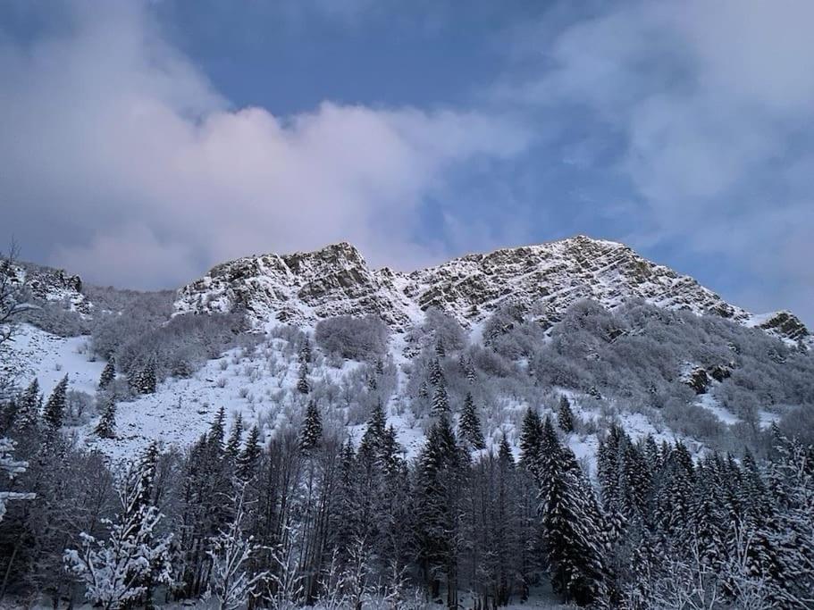 La Casetta Sulla Neve Abetone Zewnętrze zdjęcie