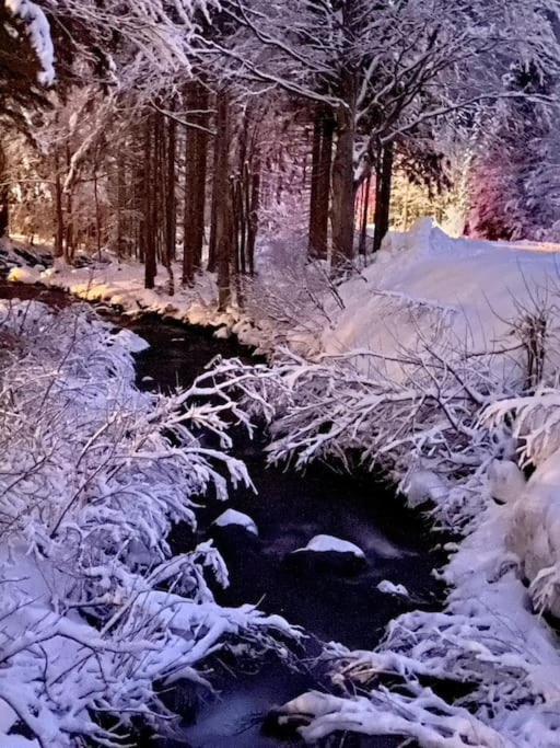 La Casetta Sulla Neve Abetone Zewnętrze zdjęcie